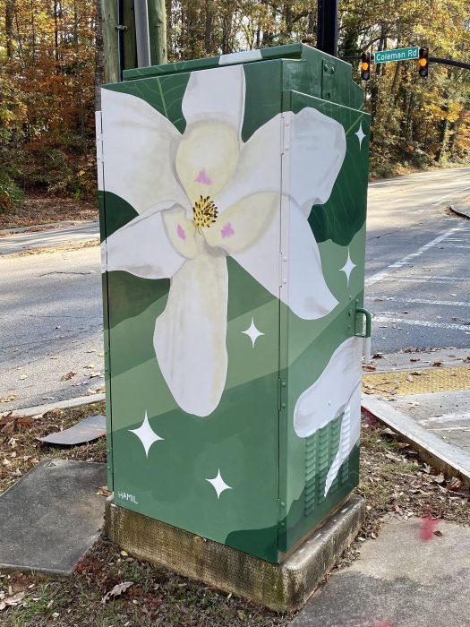 Gallery 2 - Painted Utility Box 4
