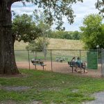 Off-Leash Dog Park at Leita Thompson Memorial Park