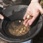 History Seek Saturdays: Gold Panning and Georgia's Gold Rush