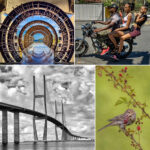 Roswell Photographic Society's 27th Annual Open Juried Exhibit