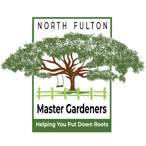 Gardening Lecture Series: Fall Bulbs