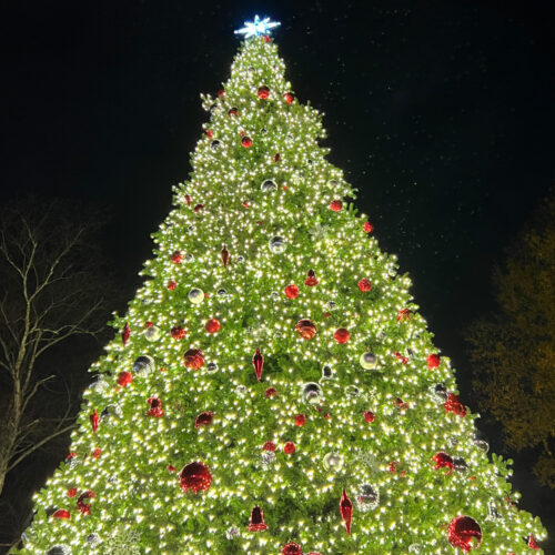 Roswell's Annual Lighting of the Christmas Tree