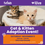 Furkids Cat & Kitten Adoptions