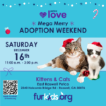 Furkids & Petco Kitten & Cat Mega Merry Adoption Event!