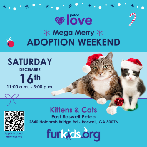 Furkids & Petco Kitten & Cat Mega Merry Adoption Event!
