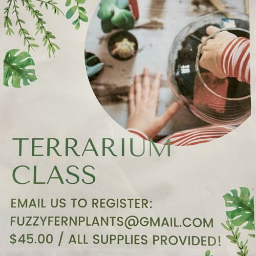 Create-Your-Own Terrarium Workshop