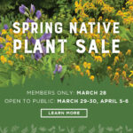 Spring Native Plant Sale