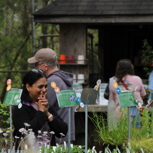 Gallery 1 - Spring Native Plant Sale