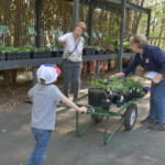 Gallery 2 - Spring Native Plant Sale