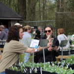 Gallery 3 - Spring Native Plant Sale
